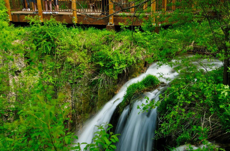Spearfish Canyon Nature Area, South Dakota, USA